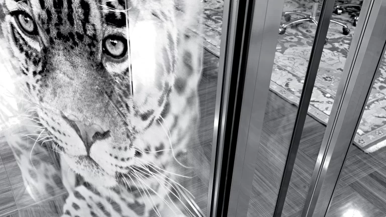 tridimenzionalne risbe ali slike visoke ločljivosti